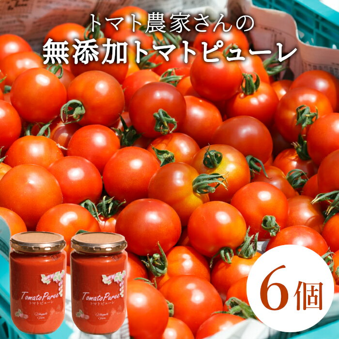 【ふるさと納税】保存料・食塩・化学調味料不使用！トマト農家さんのトマトピューレ 6個 ( 320g×6個 ) トマト 野菜 ピューレ パスタソース 万能 フルティカトマト 21,000円 21000円