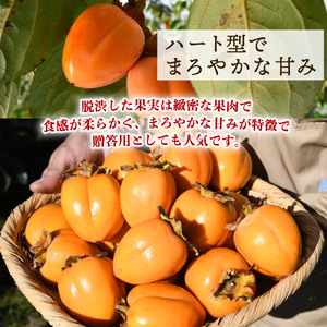 【先行予約】四ッ溝 柿  約2.5kg 数量限定 2026 柿 