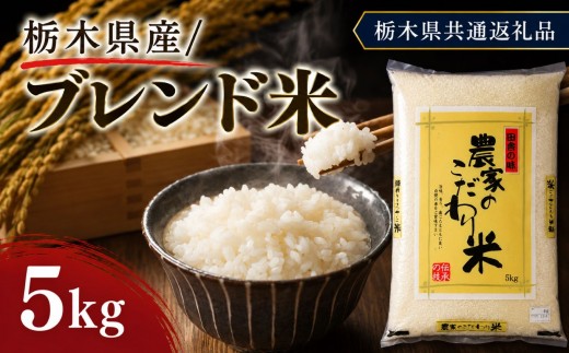 
                  栃木県産 お米 白米 ブレンド米 5kg | 栃木県 矢板市　栃木県共通返礼品
                