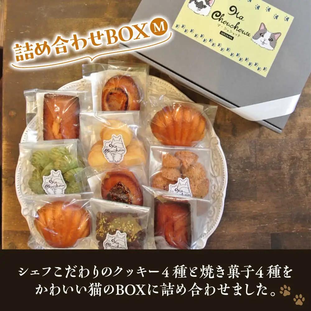 【全12回定期便】クッキー＆焼き菓子詰め合わせBOX M／ クッキー [ASBU014]