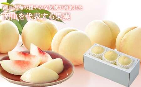 岡山白桃 ロイヤル 3玉 × 約200g 計約600g 岡山県産 （早生種・中生種） 【2026年7月上旬～8月下旬迄発送予定】 ／ 白桃 桃 もも 果物 果実 フルーツ 岡山県 美咲町 冷蔵