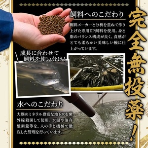 無投薬！鹿児島県産うなぎ蒲焼セット＜定番＞(計2.4kg以上・ 約120g×20尾) タレ・山椒付き 鰻 ウナギ 国産【西日本養鰻】D52