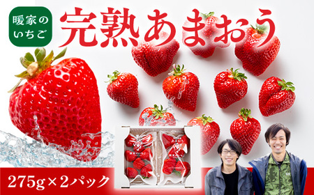 暖家のいちご 完熟あまおう 275g×4パック【3月中旬以降順次発送】　AB004