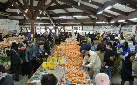 【2025年2月上旬から配送】湯の花　不知火５kg箱セット