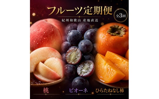 
            【7・8・10月 全3回】紀州和歌山産旬のフルーツセット（桃・ピオーネ・ひらたねなし柿）定期便 【魚鶴商店】【UT67】
          