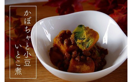 R7年産 南瓜 約10kg ヤナセ農園 | 北海道津別町