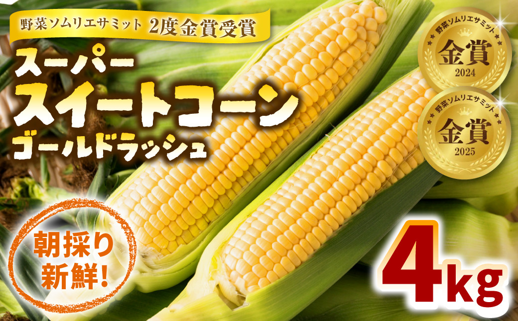 
            熊本県八代市産 スーパースイートコーン ゴールドラッシュ 4kg スイートコーン とうもろこし コーン 朝採り 高糖度
          