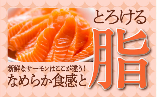 【最速発送】 アトランティックサーモン 450g