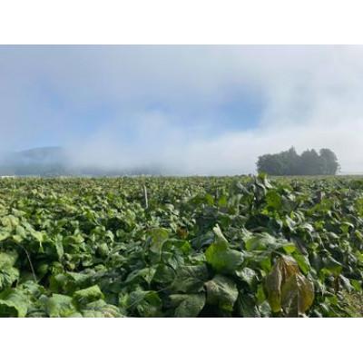 ふるさと納税 丹波篠山市 農家の手作り　黒豆みそ　 |  | 01