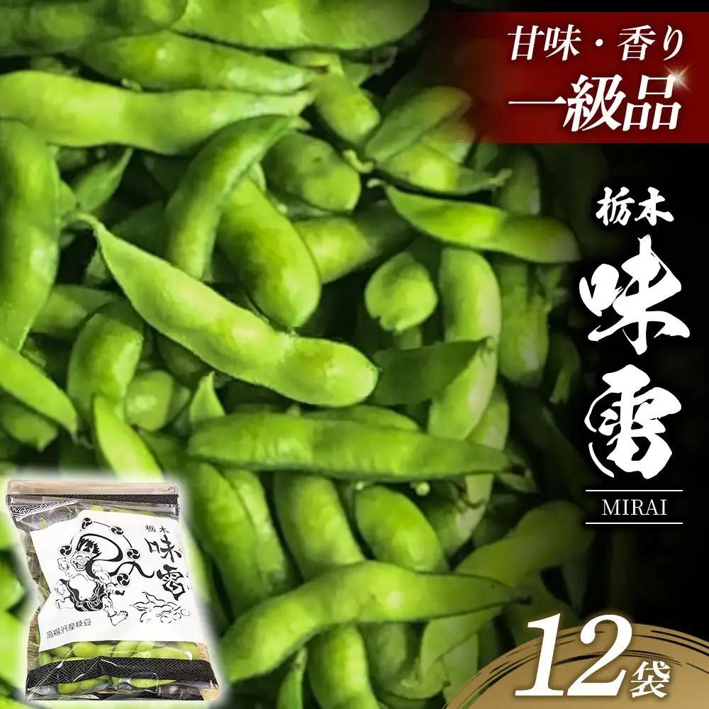 土づくりからこだわったオリジナルブランド枝豆「味雷」3kg（250g×12袋） | えだまめ えだ豆 濃厚 オリジナル 産地直送 ※2026年7月～発送