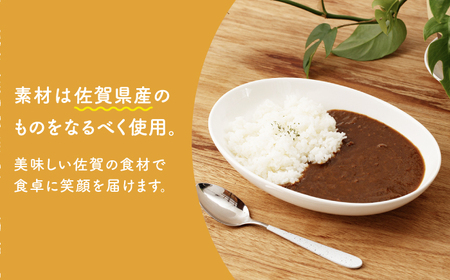 【温めるだけ！】Ranaカレー 4袋セット【創作キッチンRana】[HCK005]