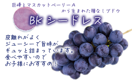 【2616-0458】岡山 花笑み農園『シャインマスカット＆BKシードレス』1kg(2房)BS-1