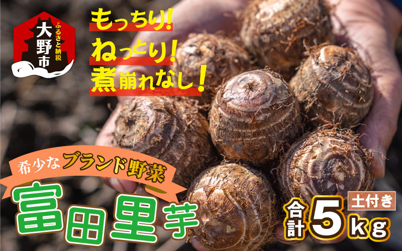 
            【先行予約】希少！とみた里芋 5kg ねっとりまろやか煮崩れなし！【11月～年内出荷】 
          