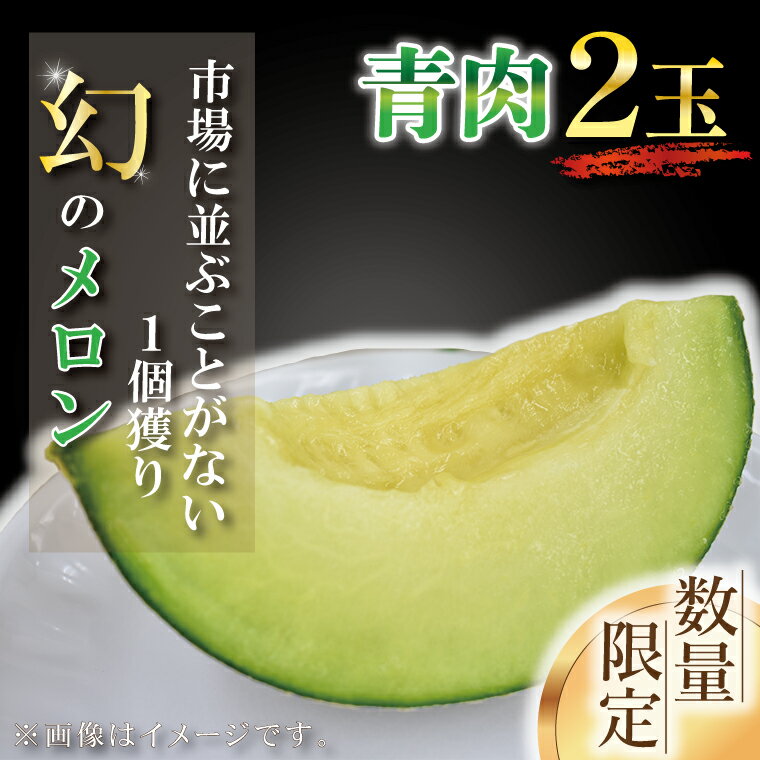 【ふるさと納税】【2025年6月下旬より順次発送】【数量限定】1個獲り★幻のメロン　青肉(2玉入り1箱)｜メロン 青肉 青肉メロン 果物 フルーツ くだもの 旬 幻のメロン 数量限定 先行予約 茨城県 行方市(AY-2)