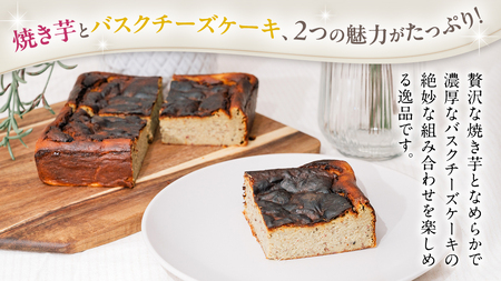 八千代町産 紅はるか使用 焼き芋 バスクチーズケーキ と 焼き芋 ジェラート １L チーズケーキ ケーキ アイス チーズ お菓子 スイーツ デザート 芋 いも 焼いも ふるさと納税 10000円 濃厚