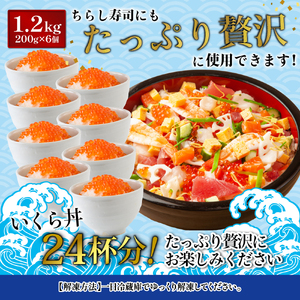 【数量限定】天然秋鮭 いくら醤油漬け1.2kg(200g×6)【02133】