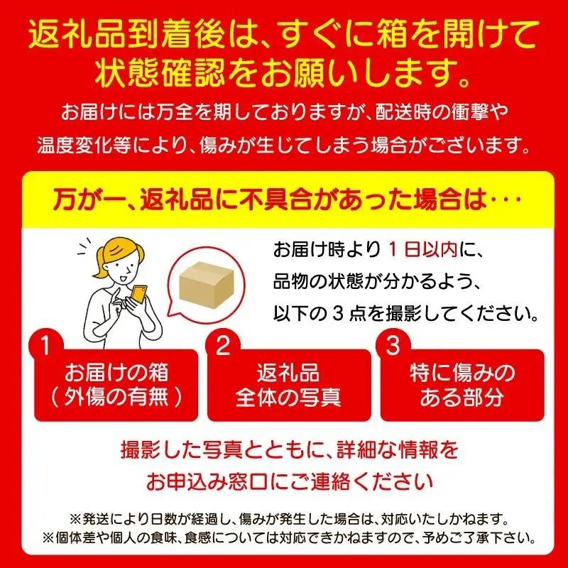 訳あり キウイ 3kg キウイフルーツ