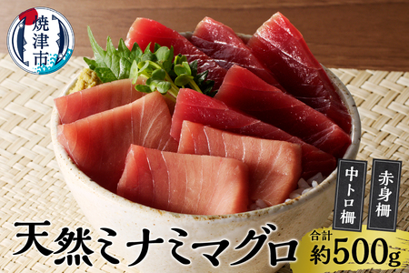 a20-427　天然南鮪　中トロ・赤身　刺身二種盛り