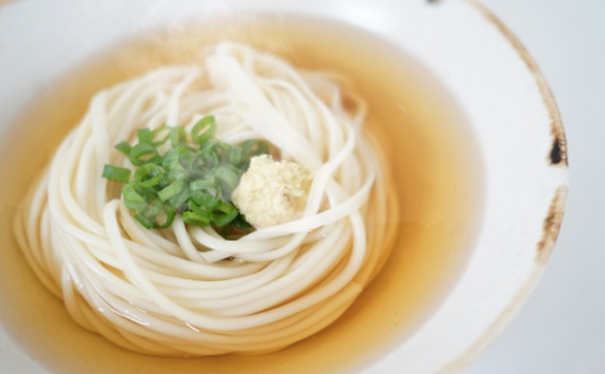 讃岐 東かがわ市自慢の半生うどん・だし詰合せ 4人前　S-QHUT-10