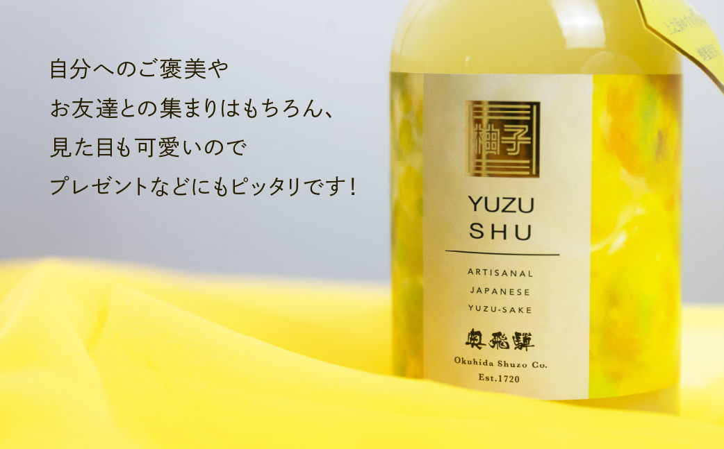 奥飛騨ゆず酒　500ml×2本 セット お酒 ユズ 柚子 【16-35】