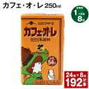 【ふるさと納税】【定期便】【1ヶ月毎8回】カフェ・オ・レ 250ml 24本 計192本（24本×8回） カフェオレ 牛乳 コーヒー 珈琲 乳飲料 らくのうマザーズ ジュース ドリンク 熊本県産 国産 九州 熊本県 菊池市 送料無料