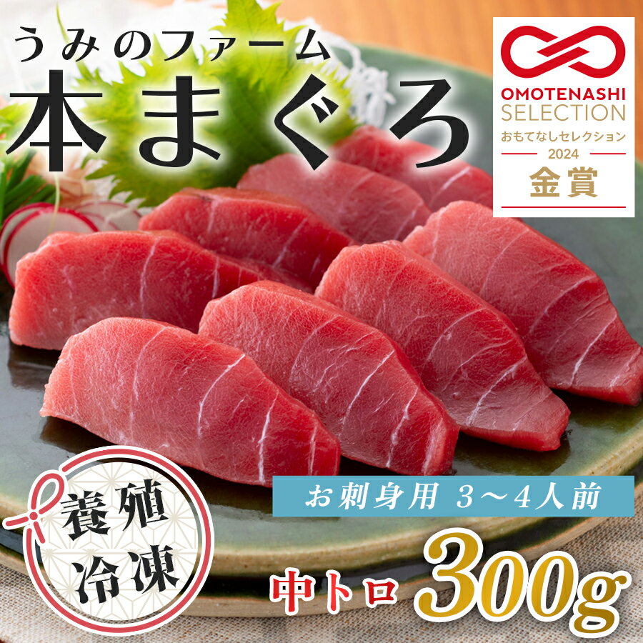 【ふるさと納税】国産 養殖本マグロ 中トロ300g｜刺身用 冷凍 まぐろ 鮪 柵 家庭用 夫婦 晩酌 ギフト 御歳暮 御中元 内祝い 手土産 海鮮丼 寿司 手巻き 急速冷凍 解凍簡単 贈答 お祝い 年末年始 産地直送 配達日指定可 うみのファーム 高知県
