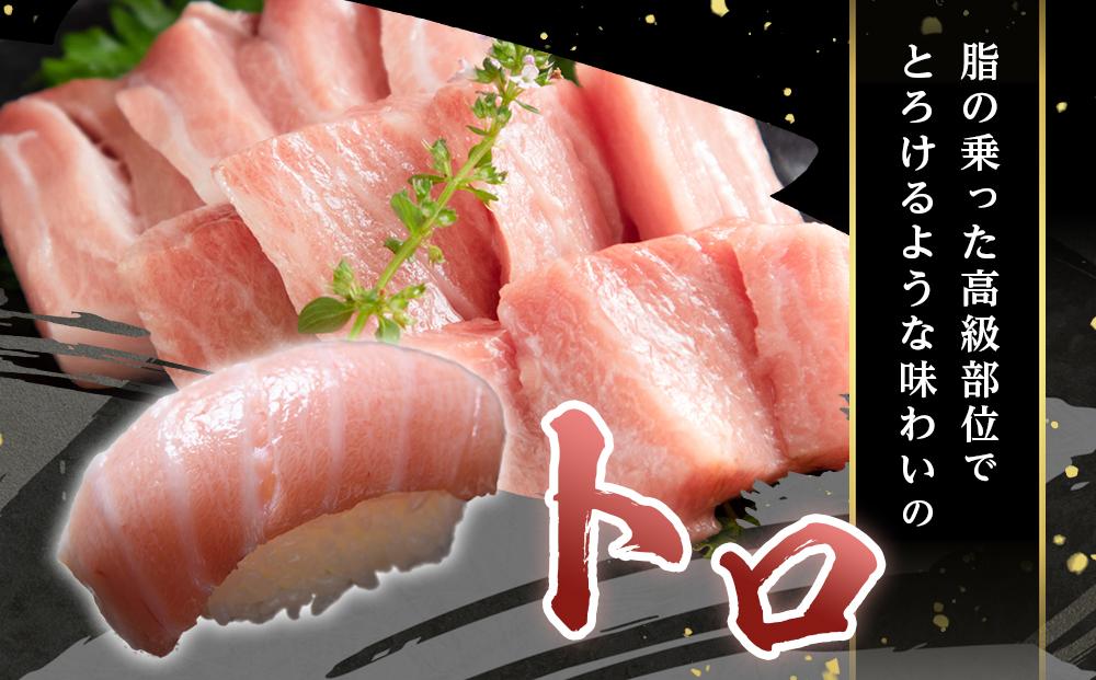 本マグロ トロ+赤身セット 500g | 【年末年始お届け可能】大トロ 中トロ 鮪 刺身 寿司 お正月