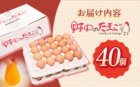 産みたて新鮮たまご 野中のたまご 40個[OAC001] 