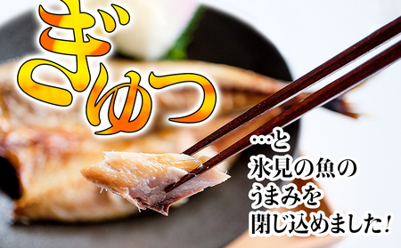 【完全受注生産】 本物のこだわり！半七の干物セット 贅 -Zei- 〈冷凍〉｜ 高級干物 手作り 氷見直送 添加物不使用