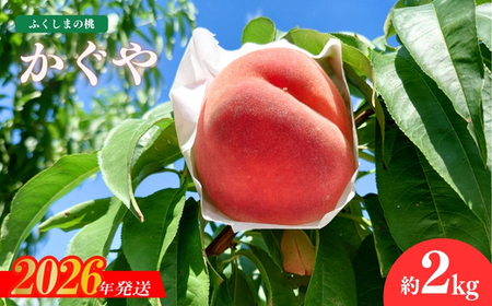 No.1514福島のもも「かぐや」約2kg【2026年発送 先行予約】