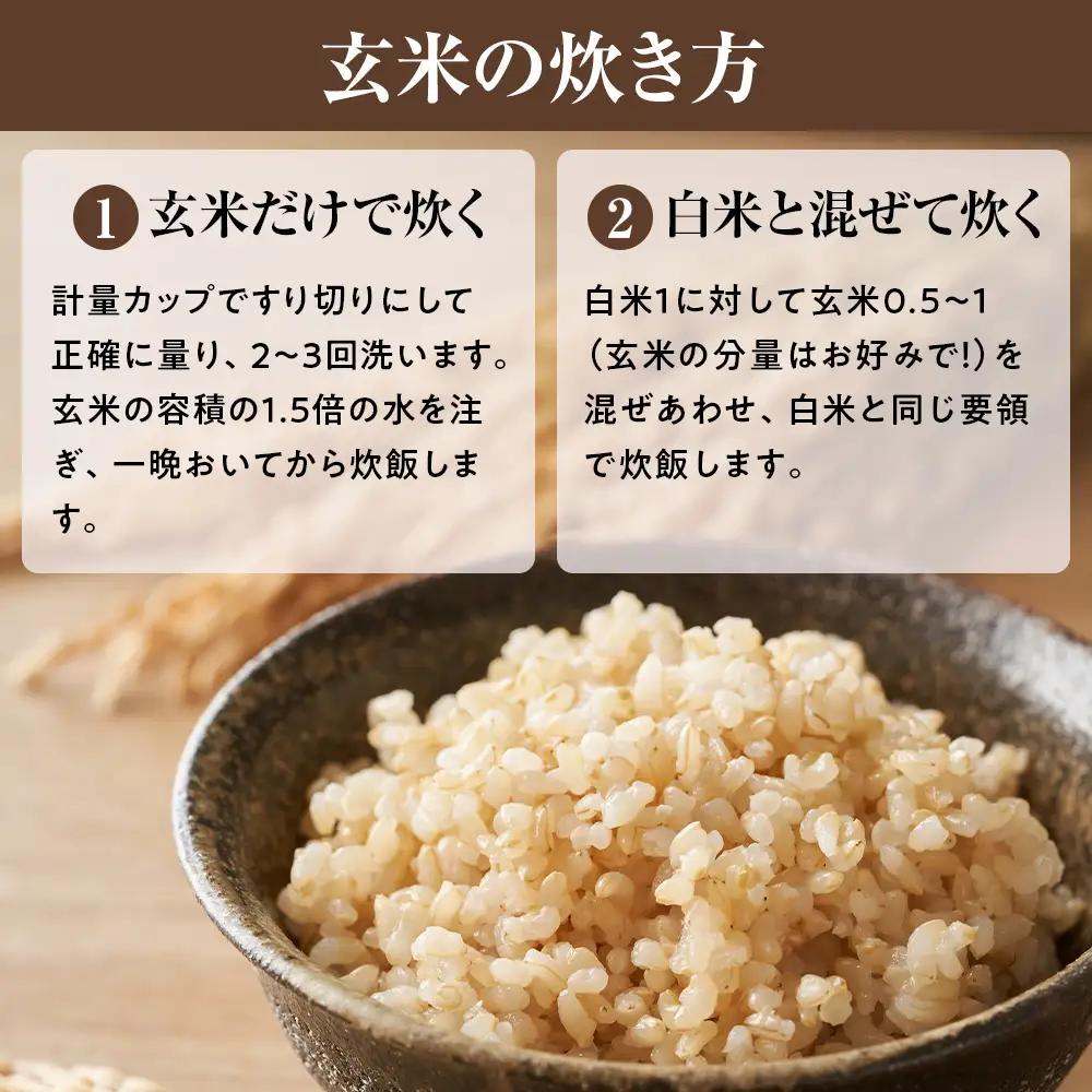【令和8年産 新米 先行予約】近江米きぬむすめ 30kg（玄米）※2026年9月～発送