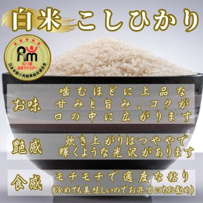 ふるさと納税 佐賀県 令和7年産こしひかり 白米 10kg(5kg×2袋)　41ANAD038(佐賀県) |  | 01