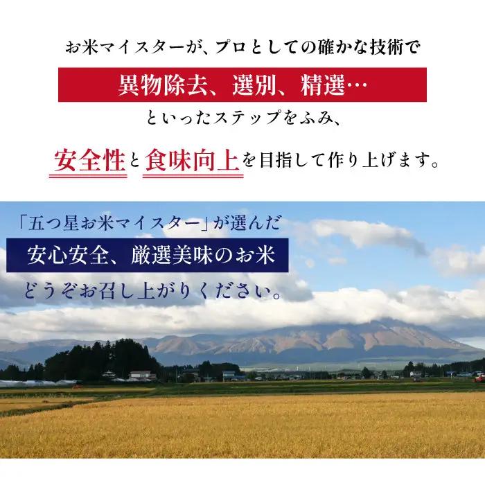 五ツ星お米マイスター 厳選 岩手県産 金銀セット 精米 食べ比べ 総量 10kg 【諏訪商店】 米 こめ コメ 金色の風 銀河のしずく 白米 ご飯 ごはん ライス グルメ 食料 五つ星 5つ星 5ツ星