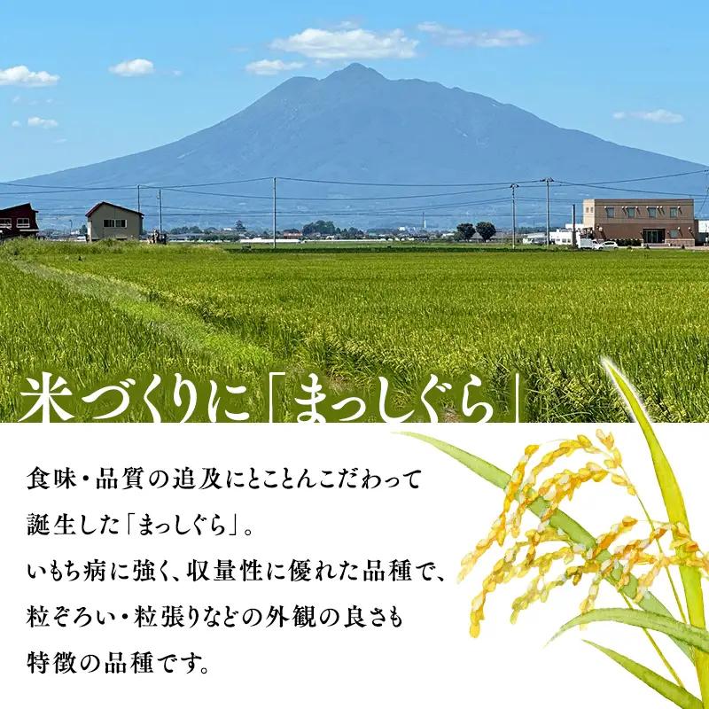 米 ≪令和8年産 先行予約≫まっしぐら20kg(玄米)