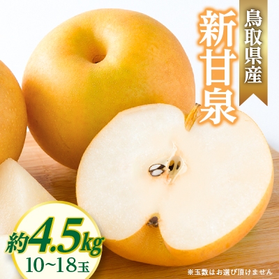 
                  新甘泉【1601417】
                