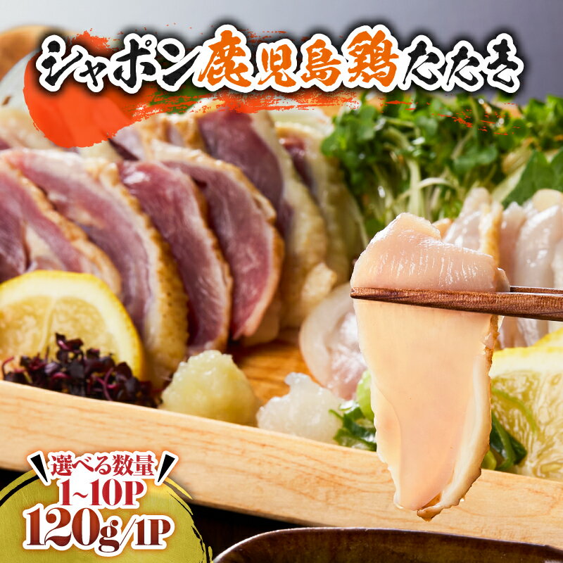【ふるさと納税】＜選べる＞ 唯一の国産 幻の鶏肉 シャポン 鹿児島 鶏たたき 120g ～ 1.2kg 鶏刺し 刺身 鶏肉 鶏 肉 お肉 鳥肉 とりさし トリサシ シャポン鶏 冷凍 たたき 国産 高級 希少部位 鹿児島産 おいしい さつま金剛 鹿屋市 おすすめ ランキング プレゼント ギフト