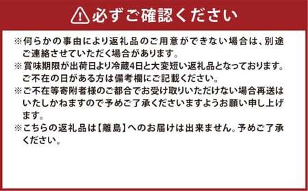 種無しぶどう詰合せ2房（合計1.2kg以上） シャインマスカット ニューピオーネ ぶどう 葡萄 ブドウ 果物 フルーツ 詰め合わせ セット 岡山県 倉敷市【2026年9月上旬～10月上旬まで順次発送予