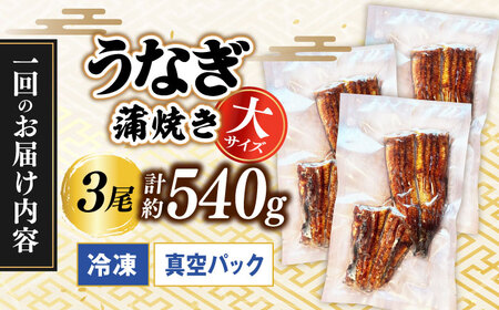 【うなぎや】 【3回定期便】 炭火焼 うなぎの蒲焼き 3尾 【紀州備長炭使用】 鰻 ウナギ 丑の日 多治見市 [TFO010]