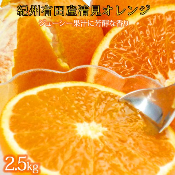 【ふるさと納税】とにかくジューシー清見オレンジ 約2.5kg［2026年3月下旬以降発送］［先行予約］［UT131］ | フルーツ 果物 くだもの 食品 人気 おすすめ 産地直送 送料無料