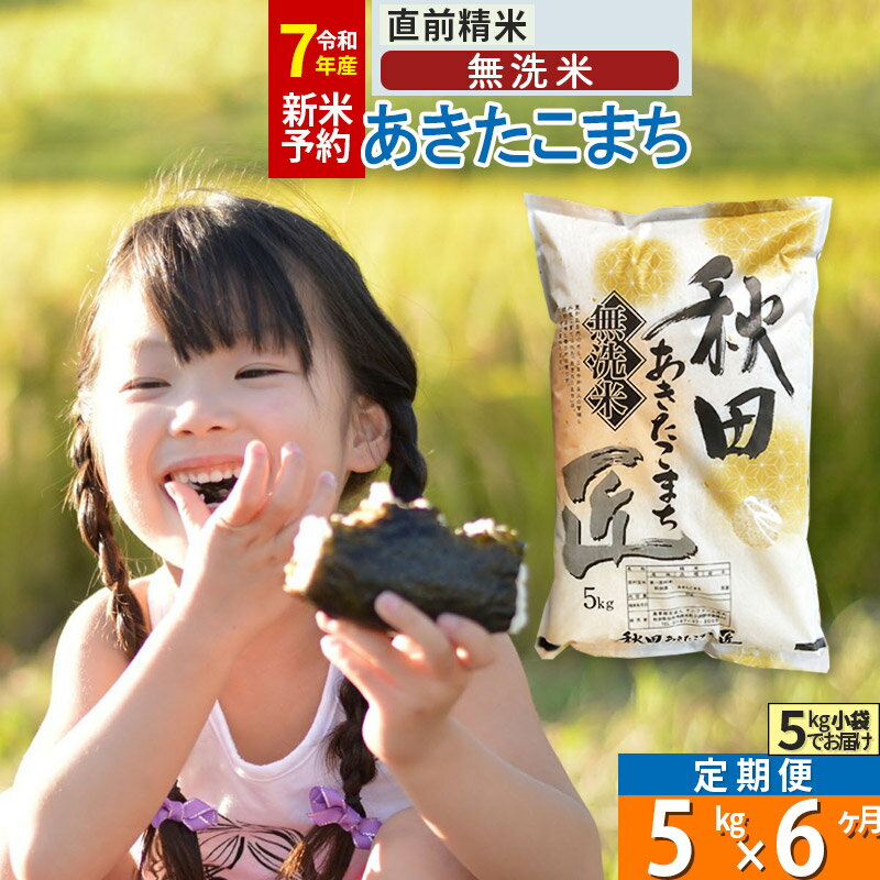 【ふるさと納税】【無洗米】※R7新米予約※《定期便6ヶ月》秋田県産 あきたこまち 5kg (5kg×1袋) ×6回 令和7年産 お米 新米
