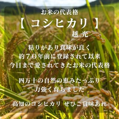 ふるさと納税 四万十市 【令和7年産】四万十市産コシヒカリ 玄米 9kg(栽培期間中農薬・ 化学肥料・除草剤不使用) |  | 03
