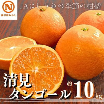 【ふるさと納税】JAにしうわの季節の柑橘(清見タンゴール 約10kg)【G08-10】【1474254】