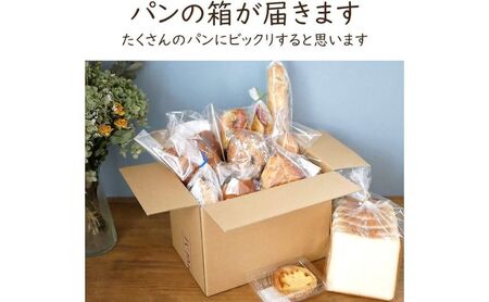 パン 定期便 3ヶ月 B-grotto おすすめ セット パン