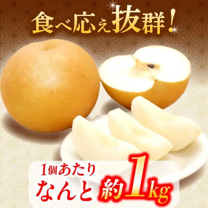 【12月上旬発送開始】愛宕梨 約3kg (3玉-5玉) / 梨 なし ナシ フルーツ[AFAR025]