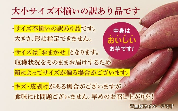 蔵出し 熟成 紅はるか さつまいも 約10kg サイズバラバラ 密 芋 いも サツマイモ 熟成 特産品 熊本県 九州