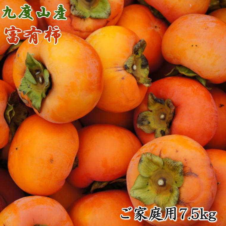 【ふるさと納税】≪柿の名産地≫九度山の富有柿約7.5kgご家庭用★2025年11月上旬頃より順次発送【TM1】