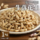 【ふるさと納税】2025年発送 事前予約 やみつき 極うま 生落花生 1kg ( 500g × 2袋 ) 生ピーナッツ 塩ゆで 専用 さとのか 甘み 茹で用 お取り寄せ 産地直送 愛知県 碧南市 送料無料