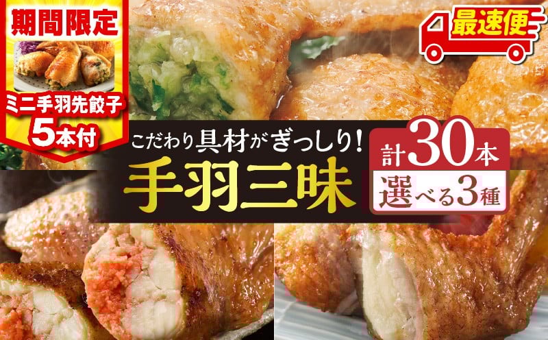 
            【内容量・発送時期が選べる】【期間・数量限定】手羽先3種 各10本・手羽先餃子小5本／手羽先餃子30本／手羽先明太30本／手羽先チーズ30本|手羽先 手羽餃子 手羽先餃子 手羽ギョーザ 手羽先ギョーザ 餃子 ぎょうざ ギョーザ 明太 めんたい チーズ おかず 惣菜 簡単 手軽 おつまみ お弁当 冷凍 食べ比べ セット 宮崎餃子 宮崎ぎょうざ ぎょーざ 宮崎 選べる_M025-001-SKU
          