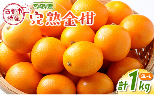 宮崎県西都市産 完熟金柑 きんかん１kg（3L～L）西都市特産品【先行予約】＜1-233＞ 18-7a