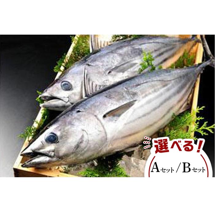 【ふるさと納税】旬 天然魚介類 詰め合わせ セット | 楽天ふるさと 納税 和歌山 白浜町 お取り寄せグルメ 食品 食べ物 たべもの お土産 プレゼント ギフト 魚 詰め合わせ さかな お魚 おさかな 海鮮 食材 海の幸 魚介類 魚介 旬の味覚 天然 海産物 水産 新鮮